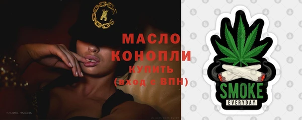 индика Волоколамск