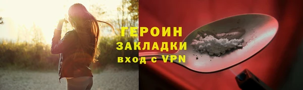 индика Волоколамск