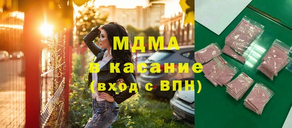 индика Волоколамск