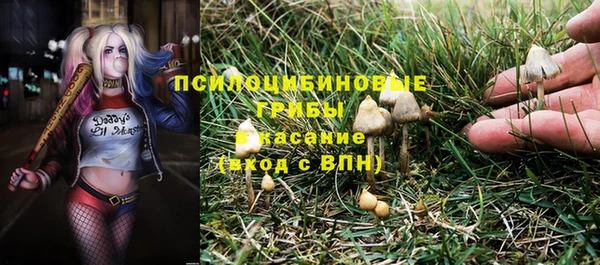 индика Волоколамск