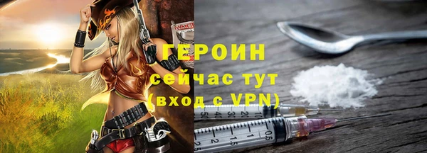 индика Волоколамск