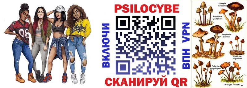Галлюциногенные грибы Psilocybe  Игарка 